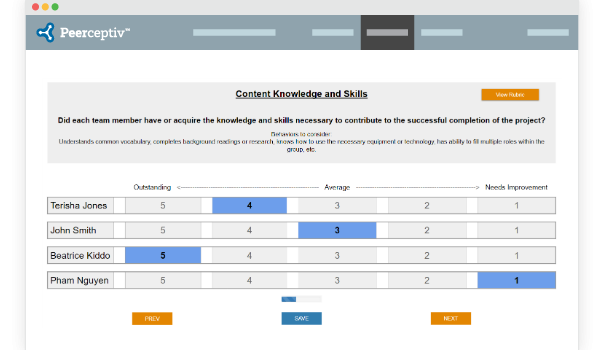 screen shot of team evaluation