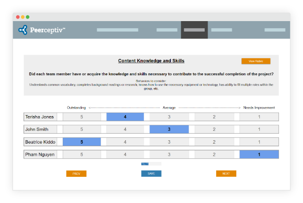 screen shot of team evaluation in the peer learning tool