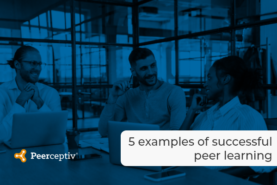 5 examples of successful peer learning